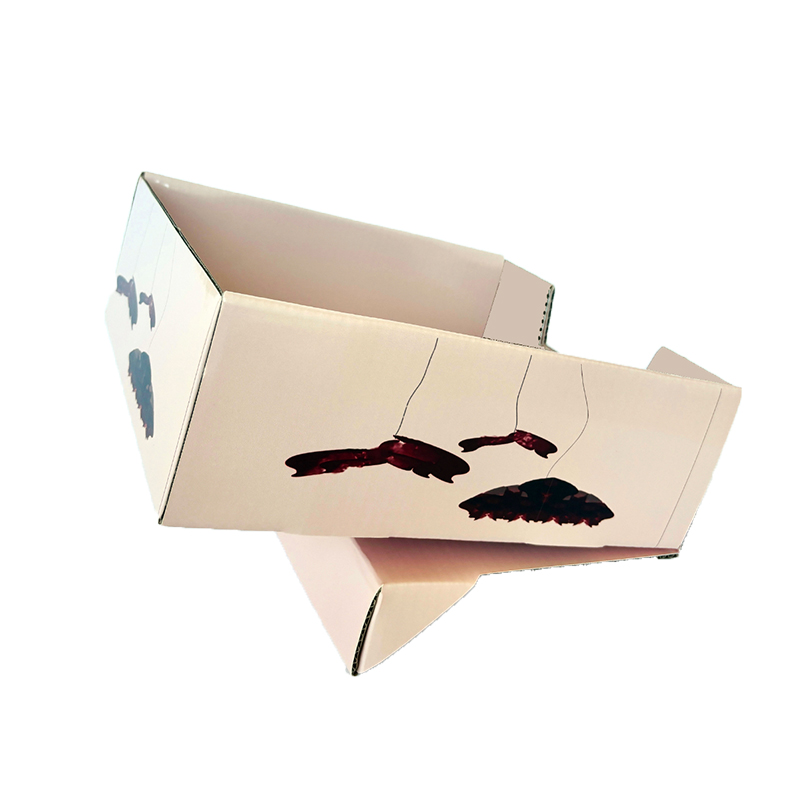 PDQ RACK QUICK EMPLIC EMPLIC EMPLICAGGIO PACCHIAGGIO PACCHIA PACCIALE, scatola regalo pieghevole